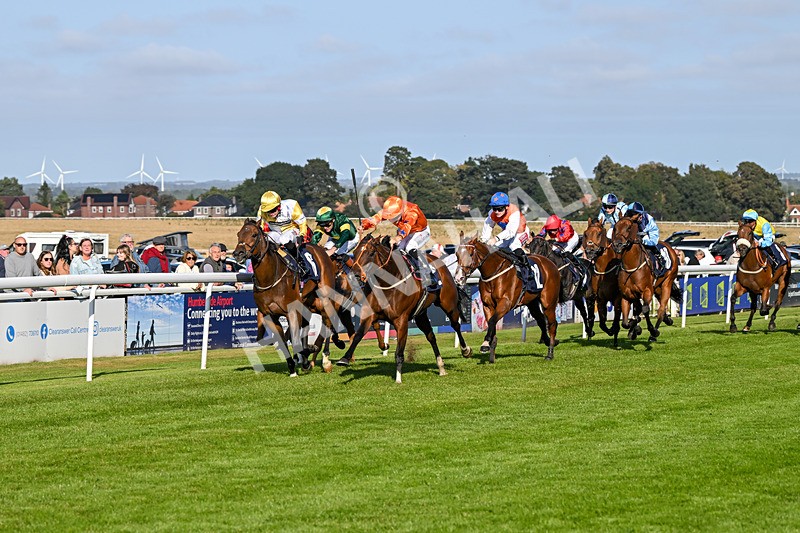 180924-Race 6-Elegant Erin-5027 - Race 6