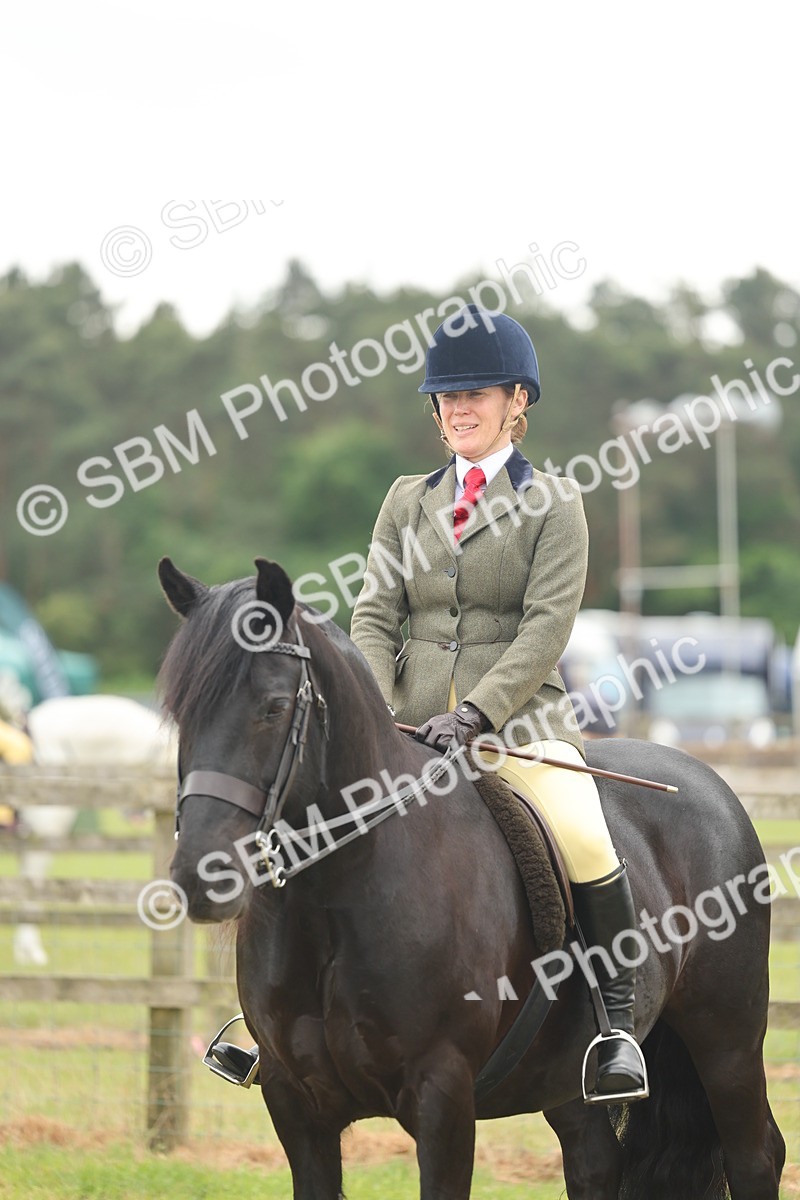 SBM_08999 - Class 78-80 - Ridden M&M Non Welsh Ponies