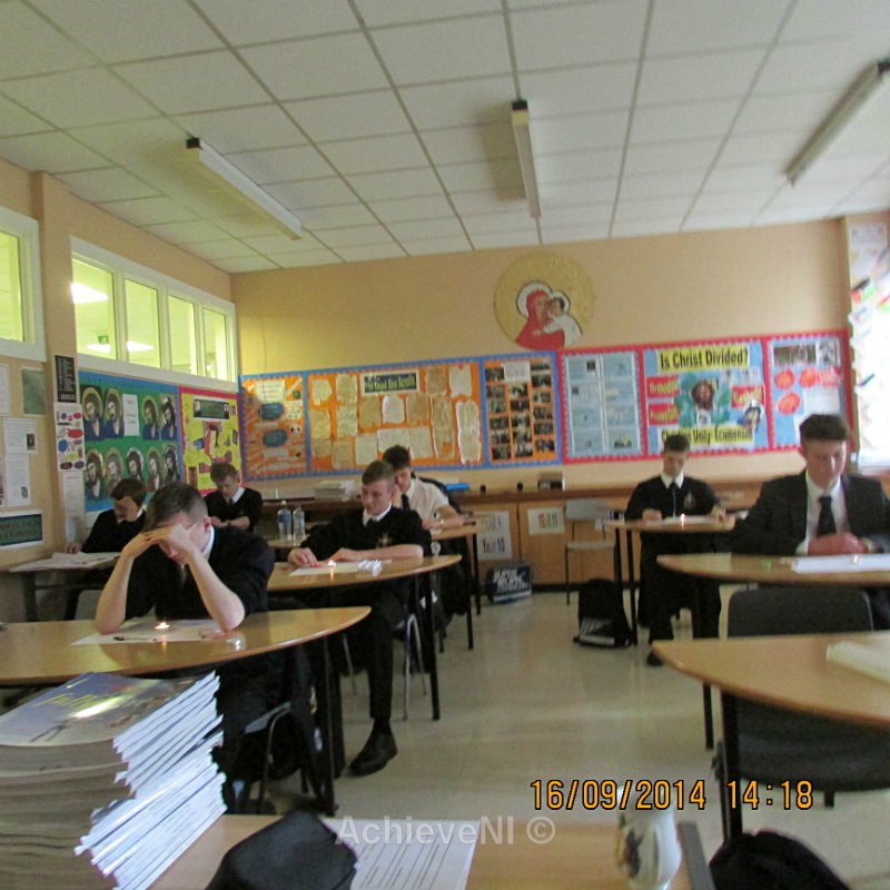  - Peer Mentoring 2014