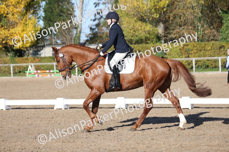 20251102-0543 - Class 3 - Novice 5