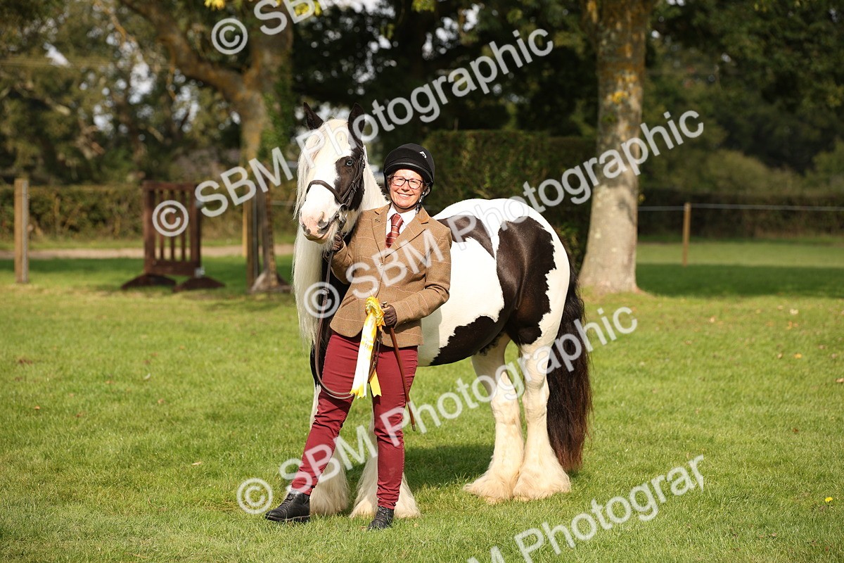 SBM_62321 - S55 - Traditional Cob In Hand