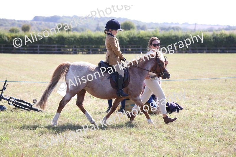 20260906-2274 - Class 16 - Family Pony