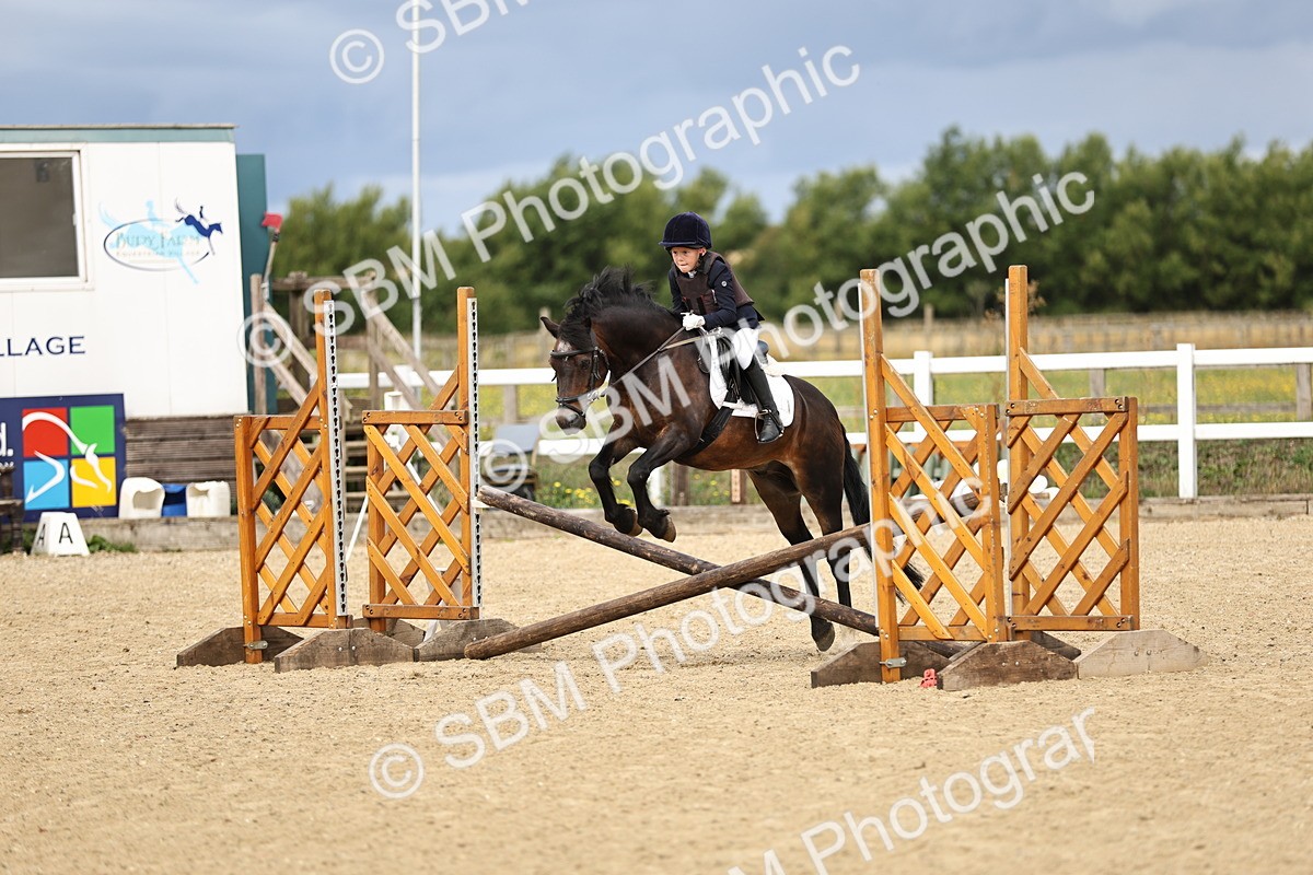 SBM_002917 - 50cm