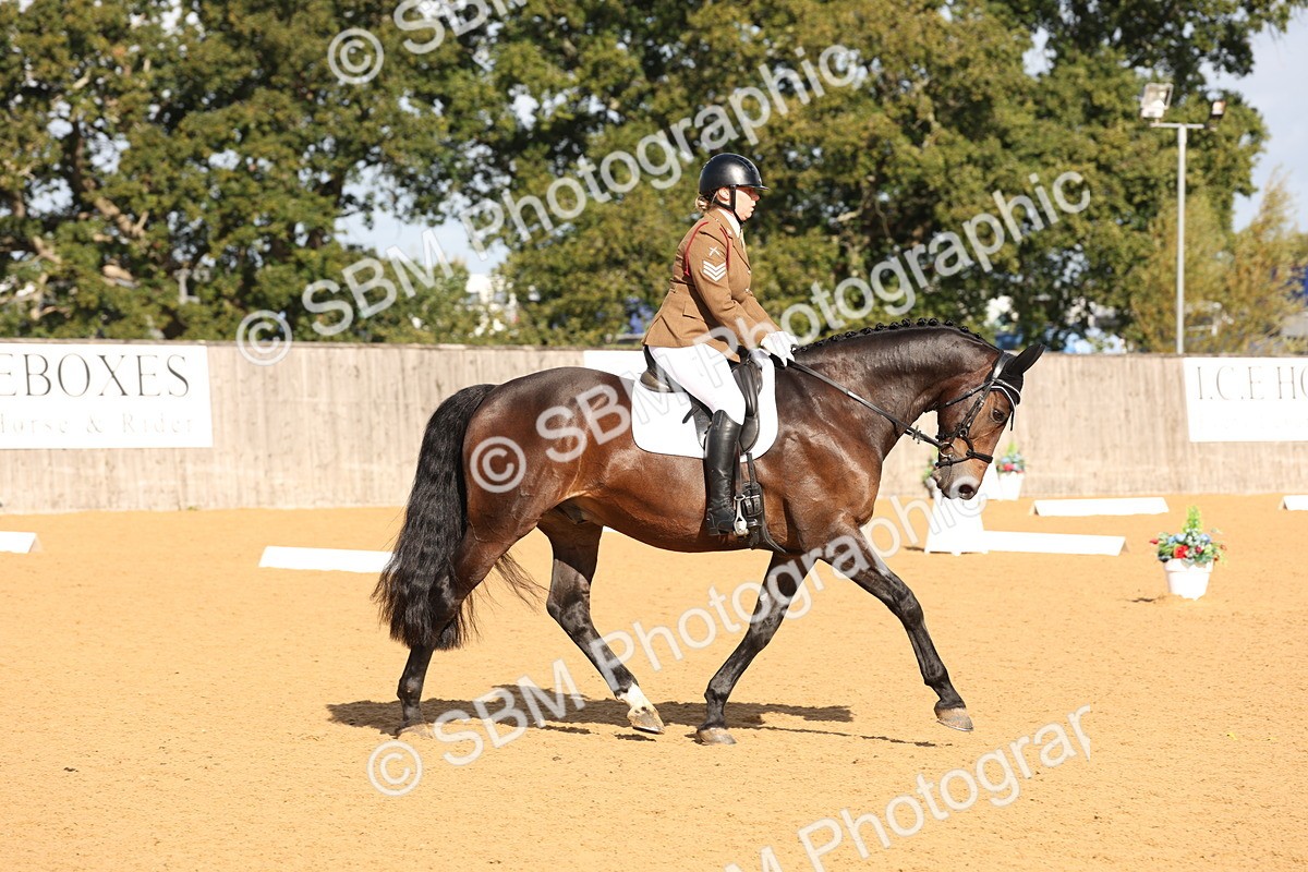 SBM_16230 - D10 - Small Tour Championship Prelim 2