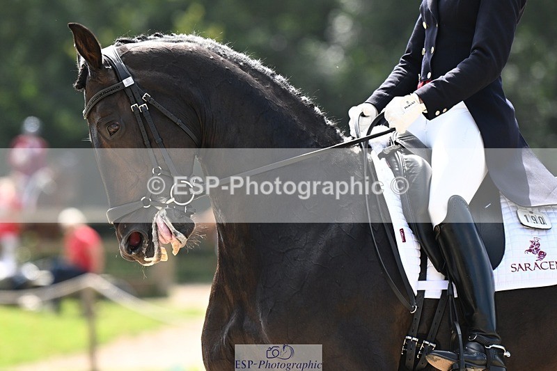 240811-143420-06517 - 190-Becky.Edwards-Laerke.Stensvang