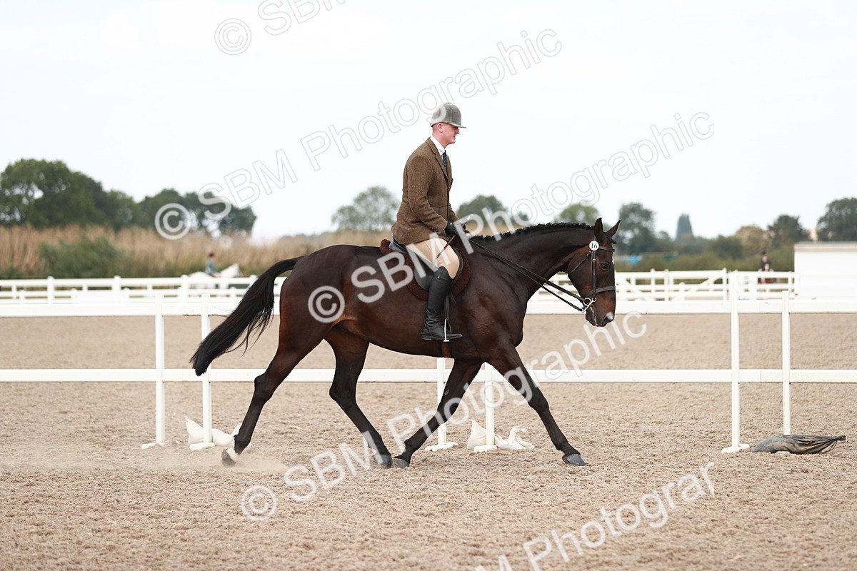 SBM_15480 - Class 213 Ridden Hunter -Large