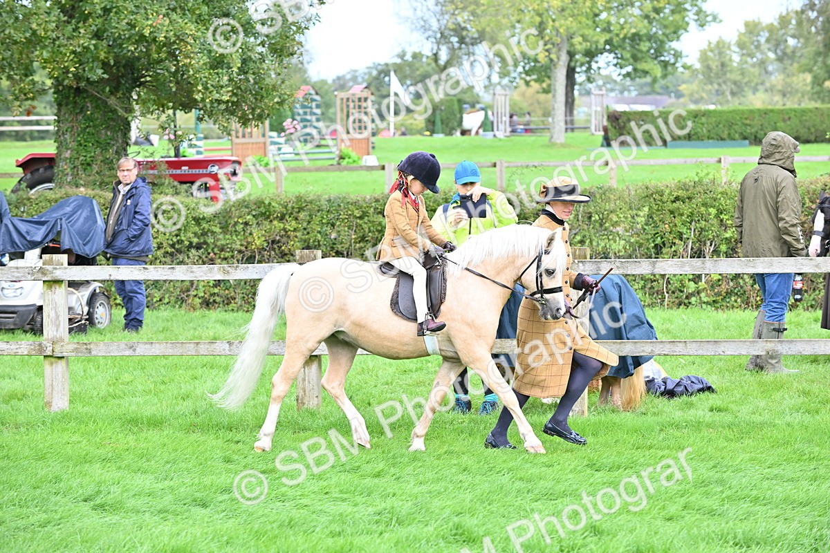 SBM_40140 - S20 - Lead Rein Mountain & Moorland Pony