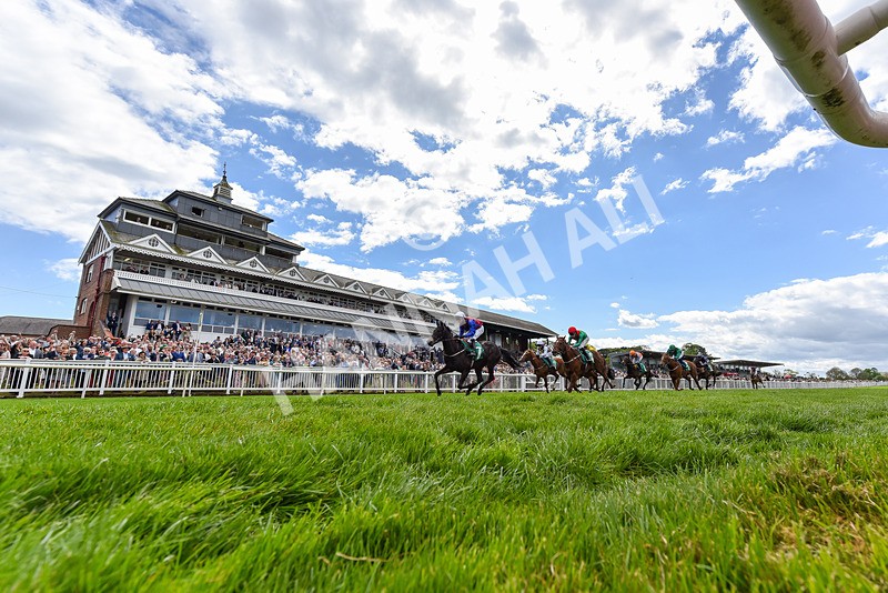 030525-Race 2-Under The Radar-1312 - Race 2