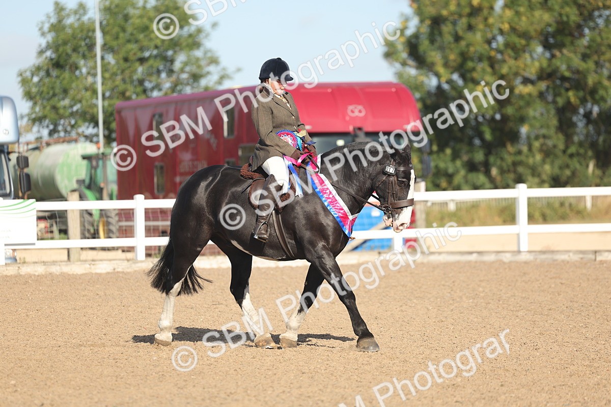 SBM_22258 - Class 802 - Ridden Groom Helpers Class