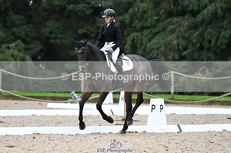 231019-165715-05466 - 073-ORNETA-Lisa.Maynard-DR