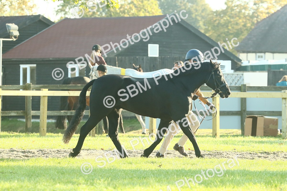 SBM_57344 - S37 - Starters In Hand Showing