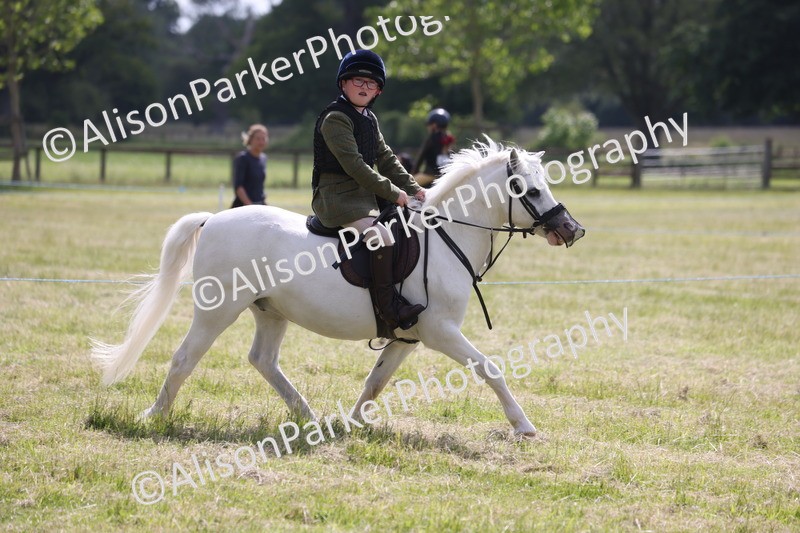 20260614-0725 - Class 20 - Beginners Working Hunter Pony