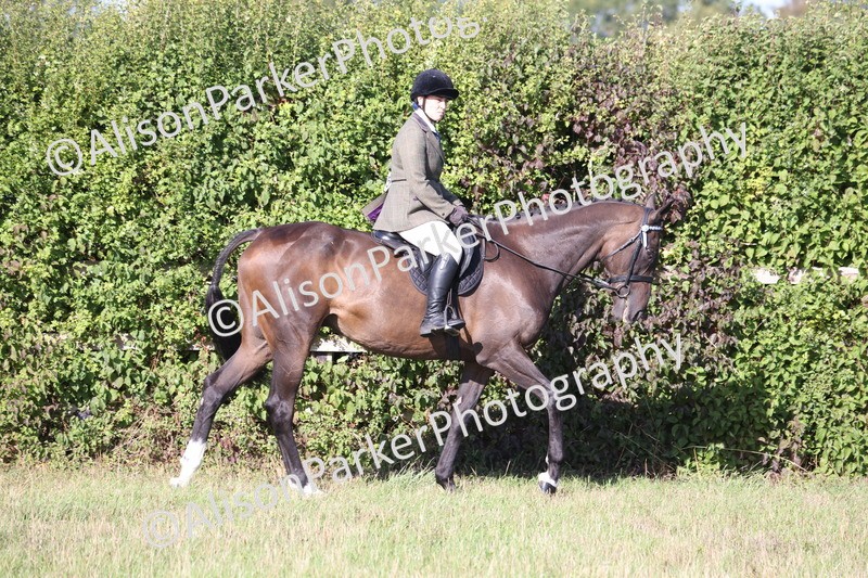20260906-0371 - Class 14 - Ex Racehorse