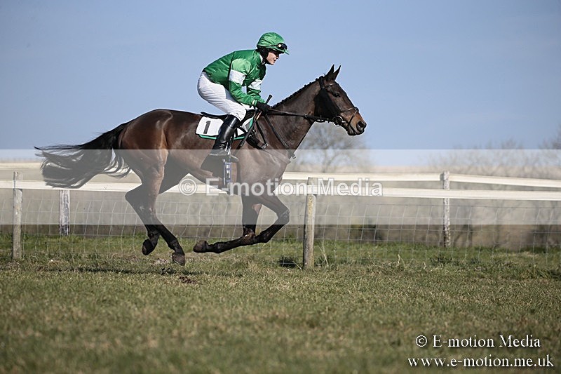 PtP 240218 200 - Vine & Craven Hunt Point-to-Point Barbury racecourse 24/02/18