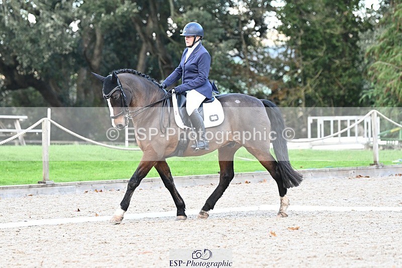 231110-144952-02045 - Cls 8 Medium 75Q