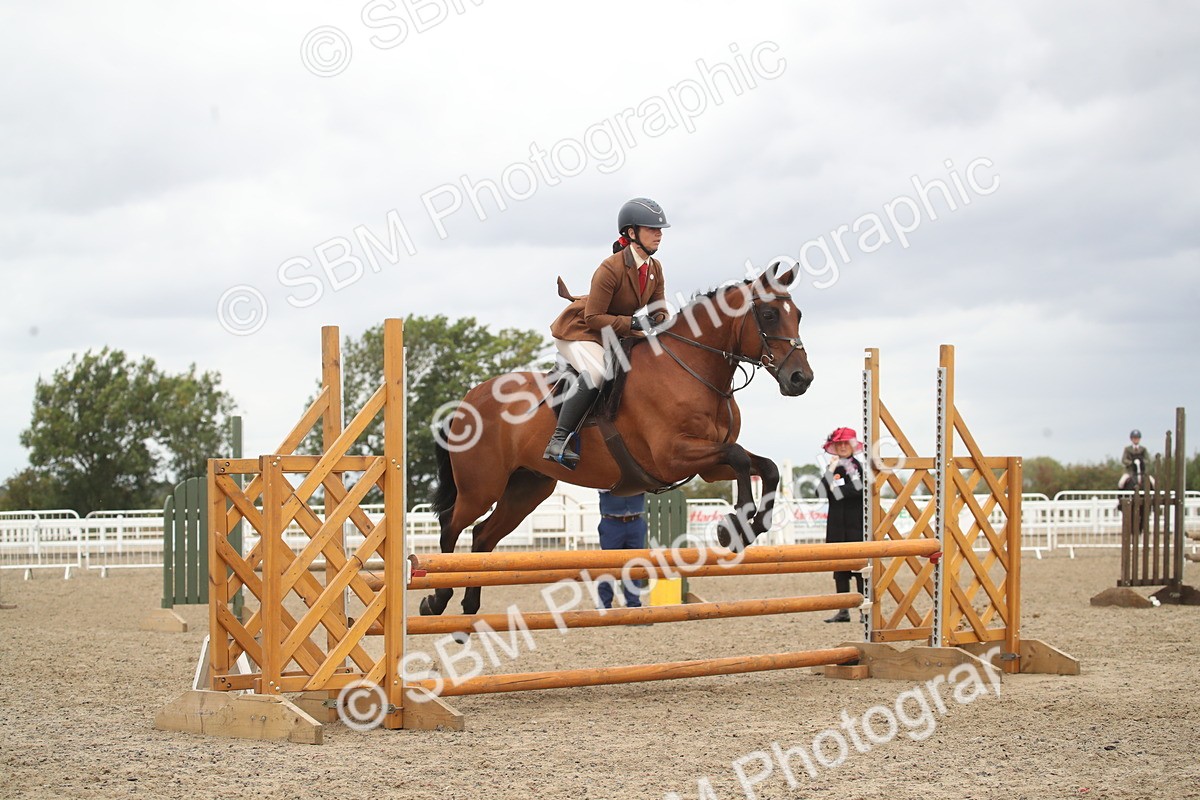 SBM_18394 - Class 509B - Working Veteran - 80cm (20+)