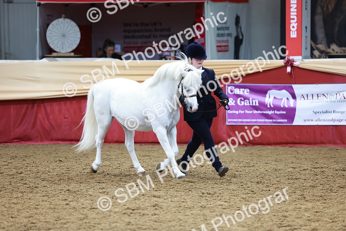 SBM_17384 - Class 951 - M&M IH Supreme Final