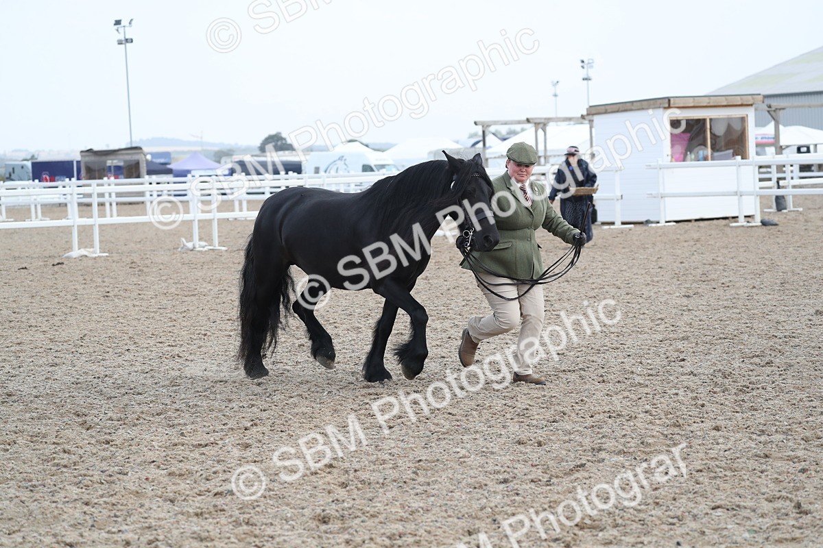 SBM_23310 - Class 606 - 2025 Area - IH Pre Vet