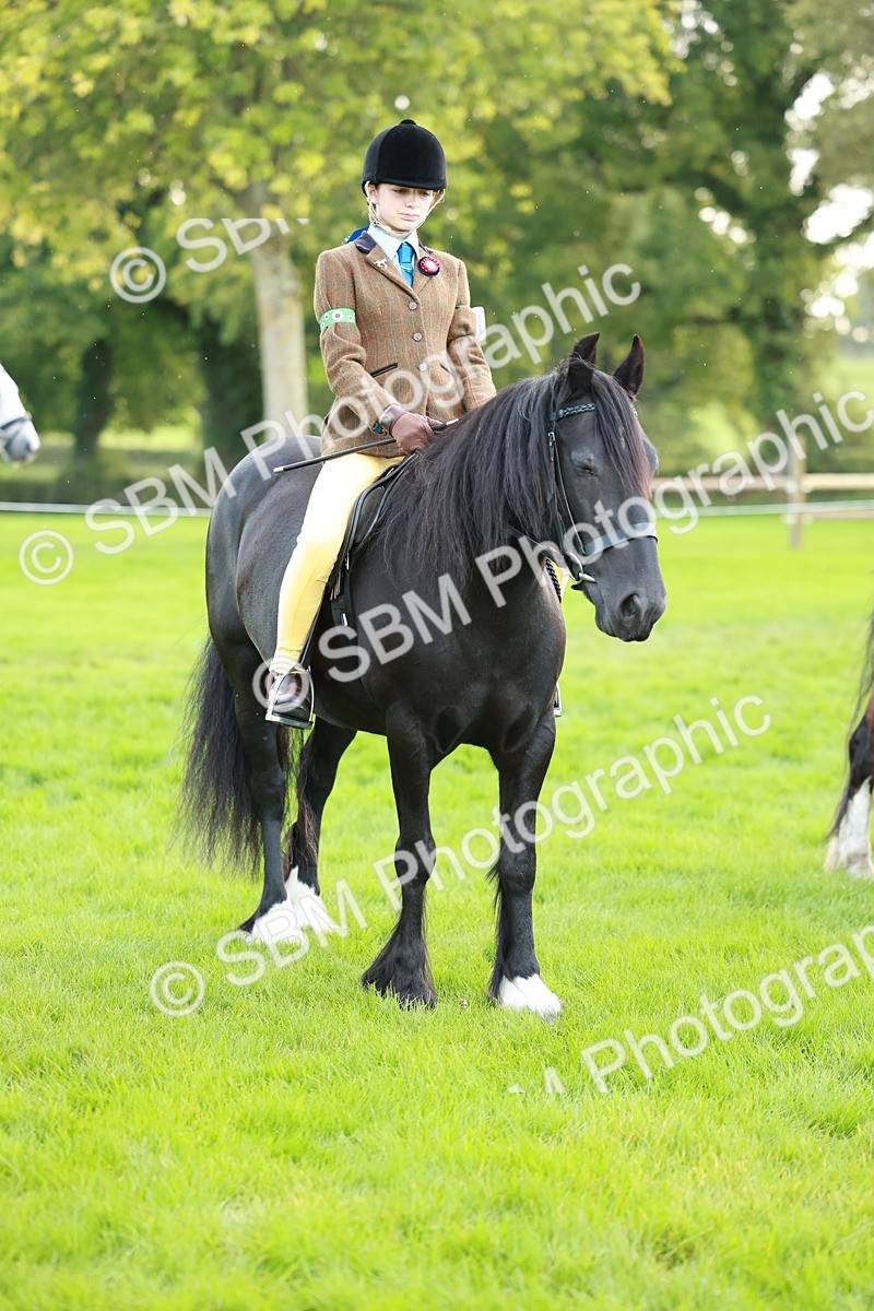 SBM_28849 - S7 - Novice & Newcomer Ridden Pony