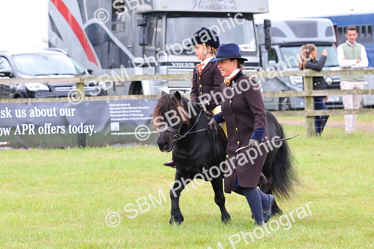 SBM_08159 - Class 42-43 - LIHS BSPS Heritage Working Sports Pony
