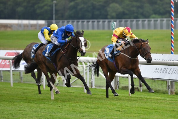 yr11062021r7-15 - Race 7 5.05pm SASH Charity Stakes