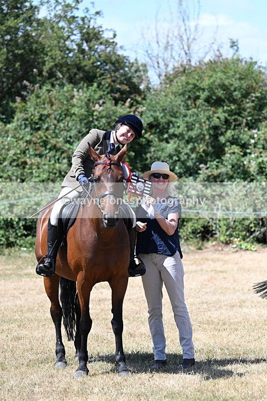 WJ7_3163 - Class 7 Riding Club Show Horse