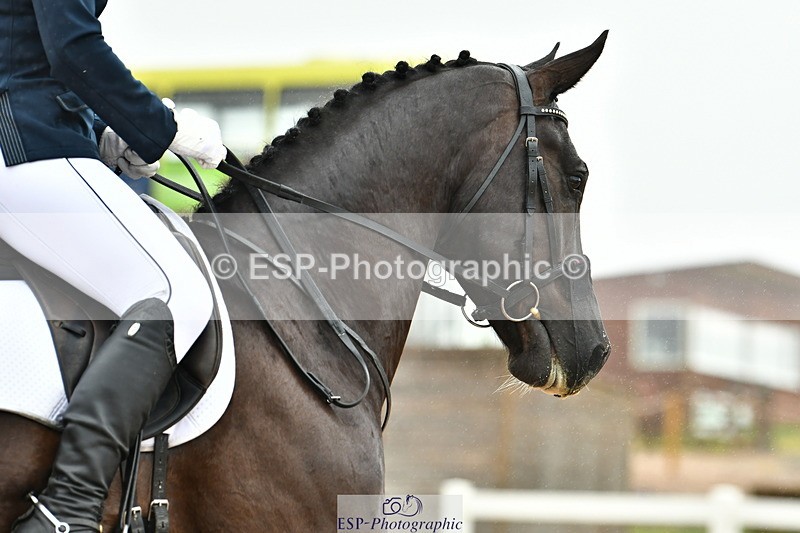 230630A-143557-02584 - Cls 8 Elementary 57