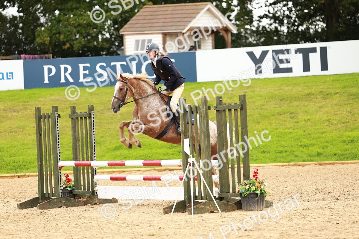 SBM_38435 - Supreme Championship 80cm 85cm