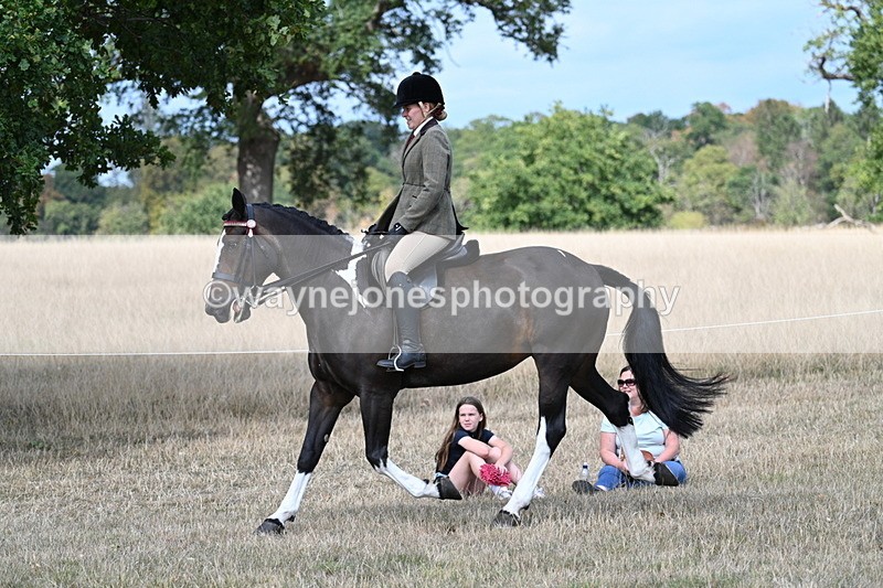WJ7_6081 - Class 13 Ridden Veterans