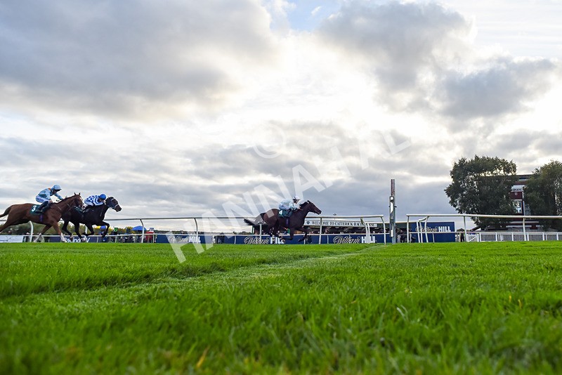 171026-Race 7-Lexington Blitz-9022 - Race 7 4.45pm William Hill Catterick Dash Handicap