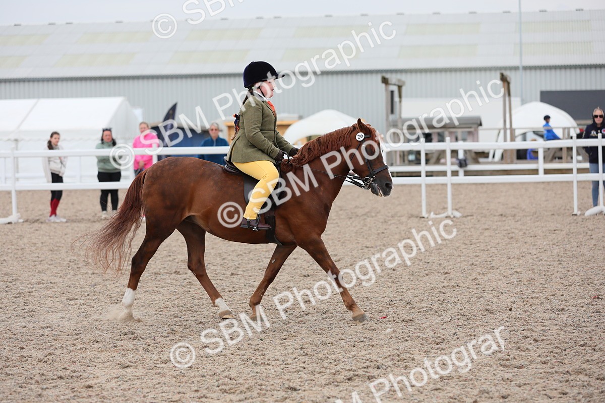 SBM_18164 - Class 316 Best Pony/Rider Combination