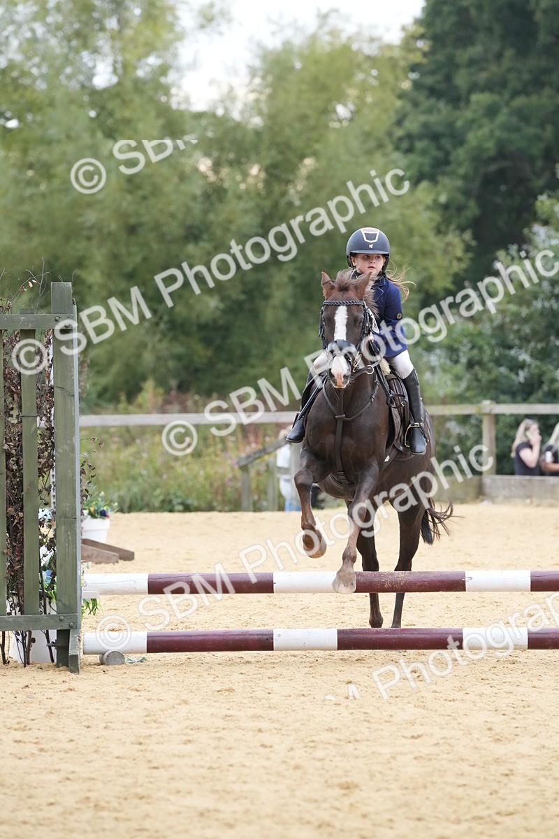 SBM_74536 - J4 - Mini Tour Junior Pony 45cm Championship