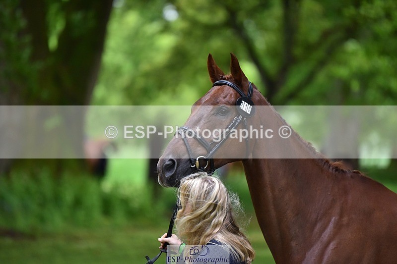 240522-163204-00982 - 210-RULE_BRITANNIA-Greta_Mason