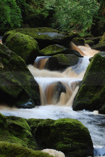 Ness wood, Co.Derry - Ireland