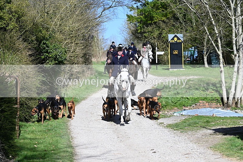 WJ7_9657 - Home for hunt tea !