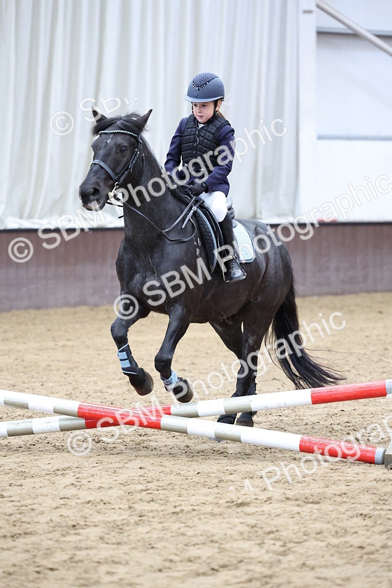 SBM_006896 - Class 1 - 40cm showjumping