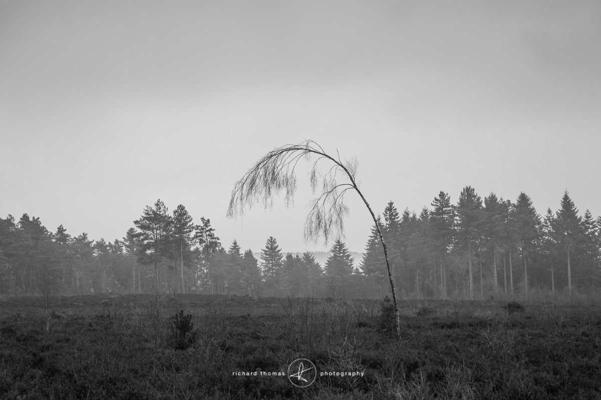 Bottle washers VI - Bottlewashers