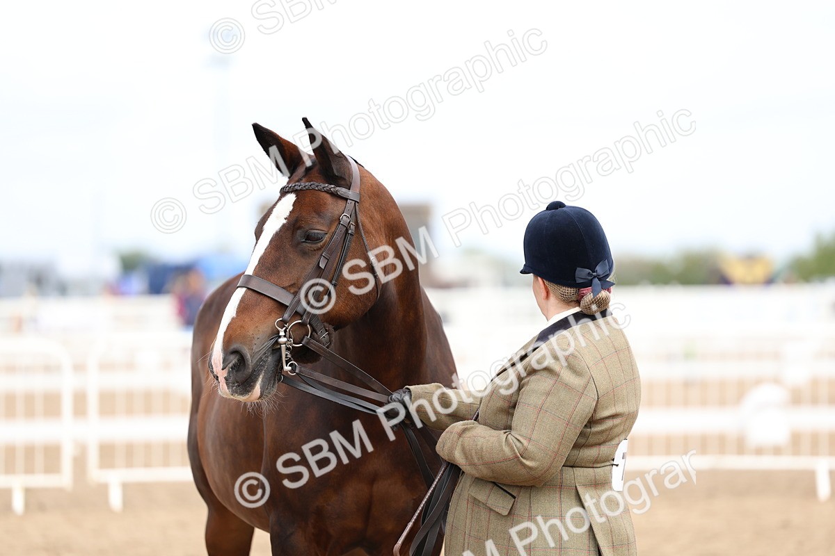 SBM_01507 - Class 17 - Prettiest Mare