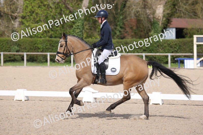 20260405-0268 - Class 3 - Novice 5