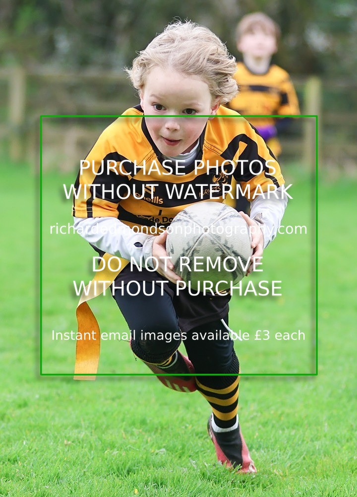 533A4947 - Kendal Rugby Under 7's (12/4/26)