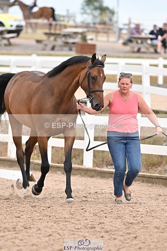 250716-160950-02468 - Trot Up 3.30 to 4.30