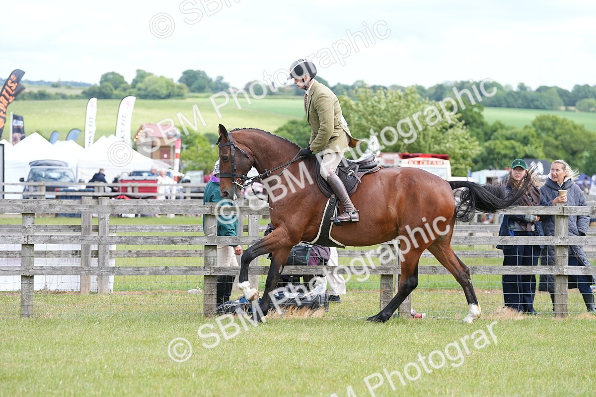 SBM_15014 - Class 100-102 - RIHS Working Hunter