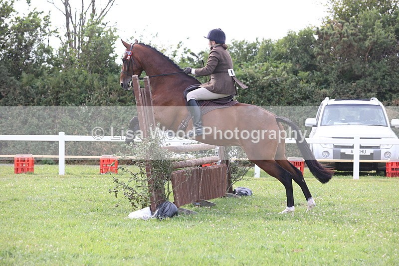 JPP_4183 - Class 25: Working Show Horse