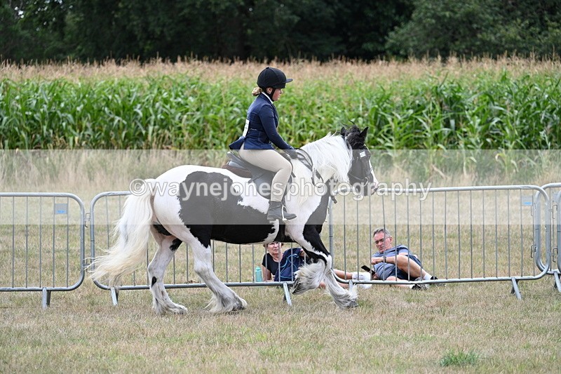 WJ7_5353 - Class 12 Ridden Cob