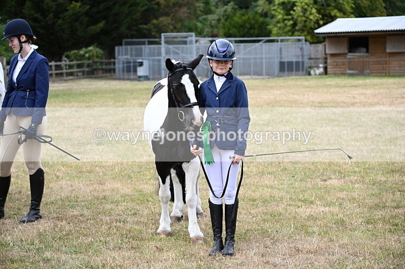 WJ6_4491 - Class 10 Coloured In-hand