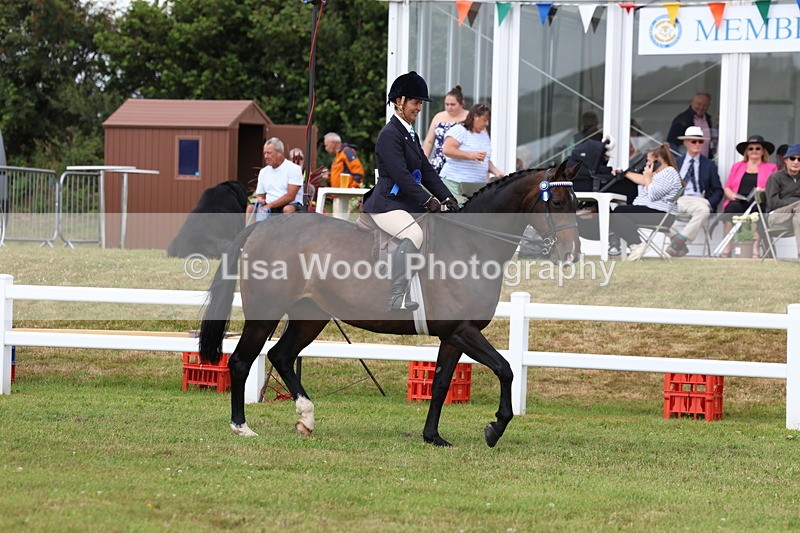 3E7A0463 - Rising Star Ridden Championship