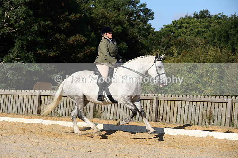 1X9A7573 - Class 7: Novice Ridden Hunter/Hack/Cob/Riding Horse