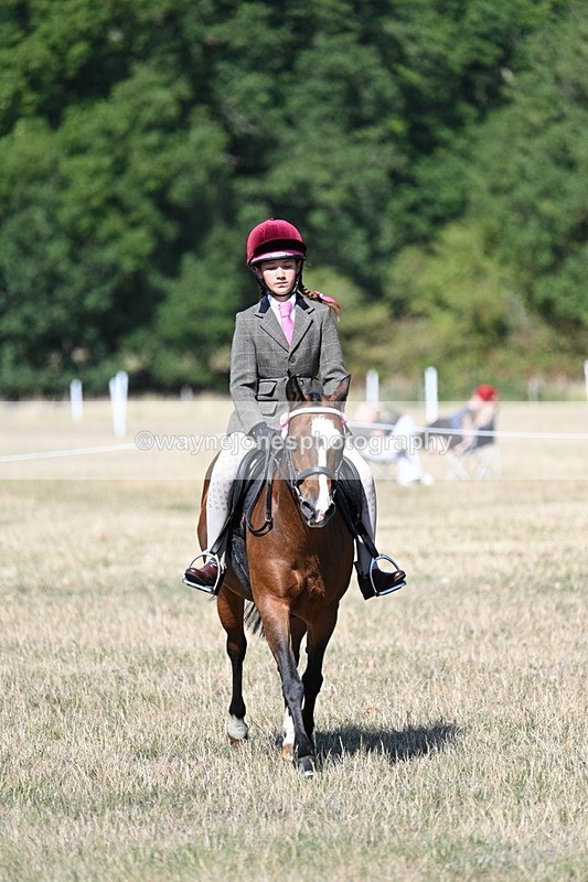 WJ7_4041 - Class 9 Mountain & Moorland Ridden