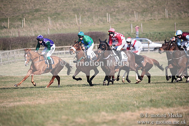 PtP 230219 210 - Vine & Craven Point-To-Point - Barbury 23/02/19
