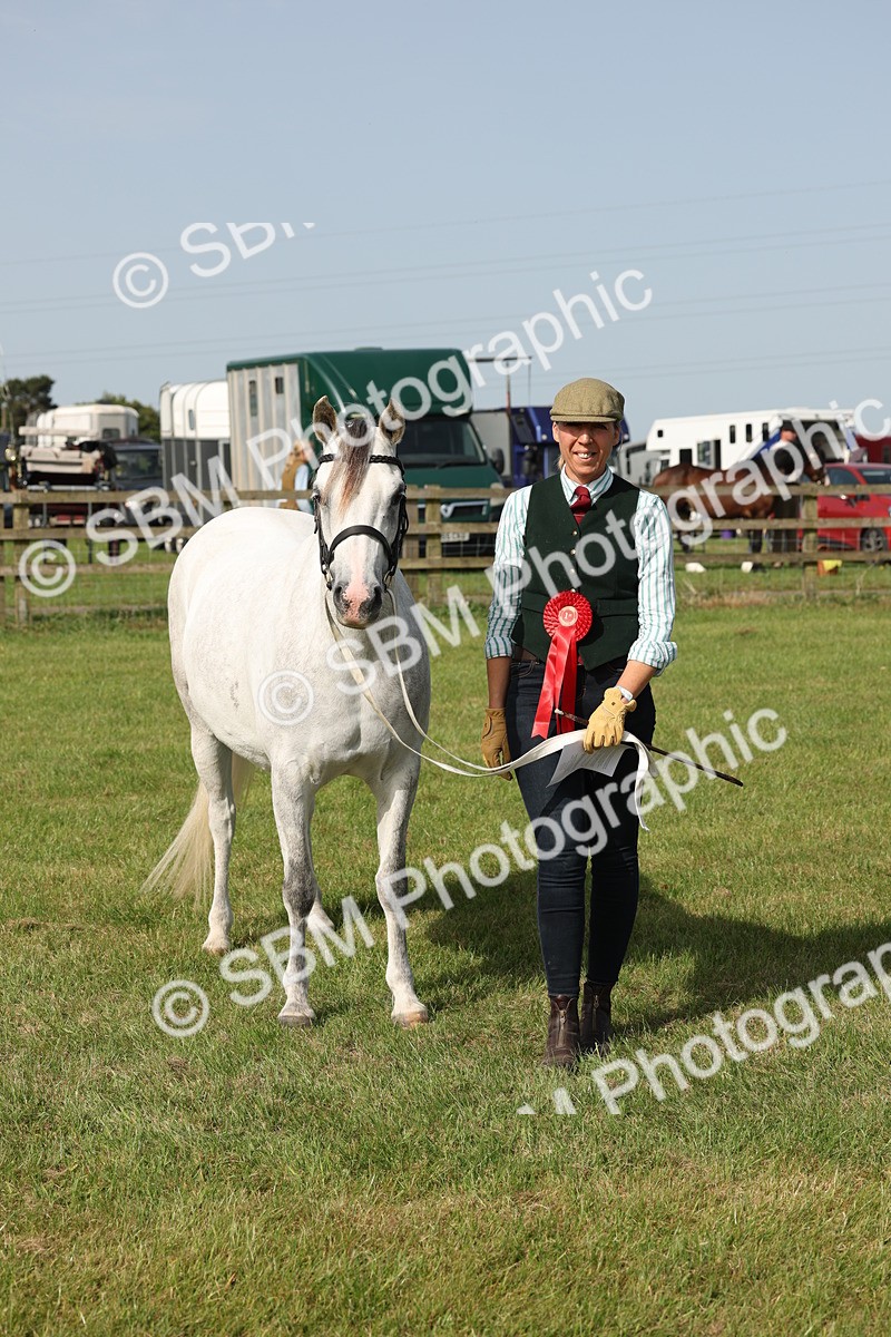 SBM_00762 - Class 6-13 - Mountatin and Moorland In Hand Welsh Breeds